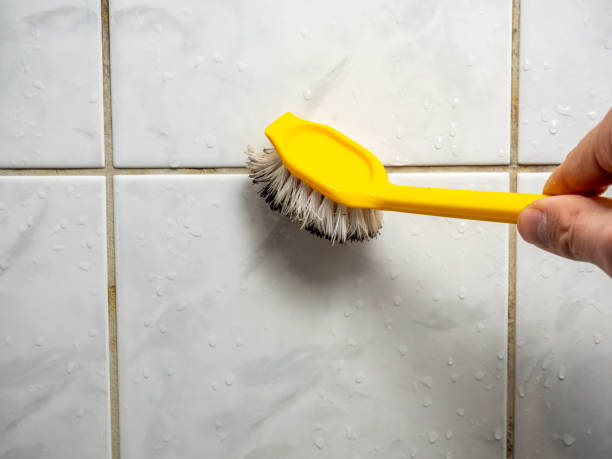 Best Commercial Mold Removal  in Biltmore Forest, NC