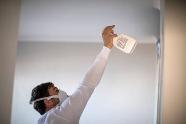 Best Local Mold Removal Service  in Biltmore Forest, NC
