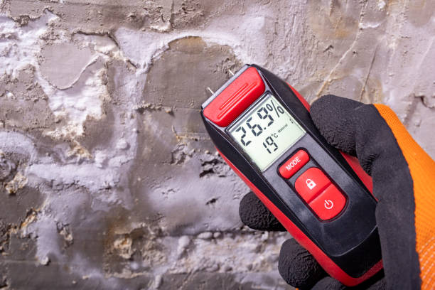 Best Certified Mold Removal  in Biltmore Forest, NC