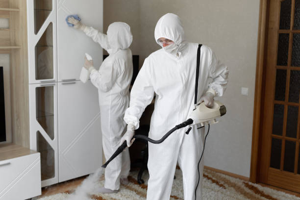 Best Toxic Mold Removal  in Biltmore Forest, NC