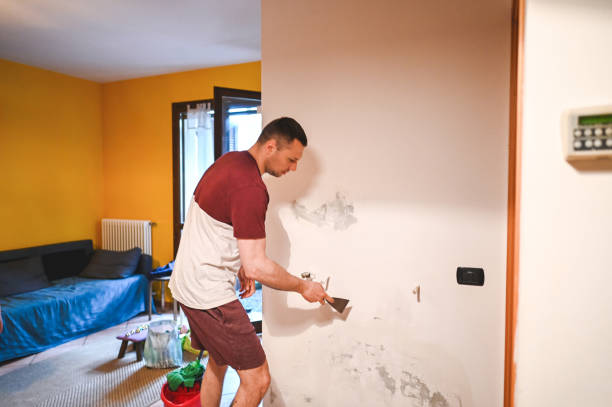 Best Certified Mold Removal  in Biltmore Forest, NC