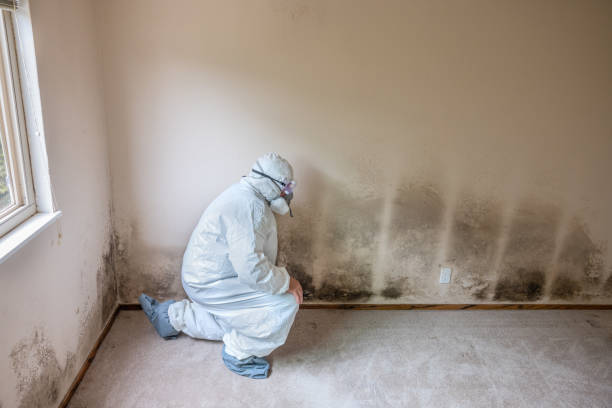 Best Mold Testing  in Biltmore Forest, NC