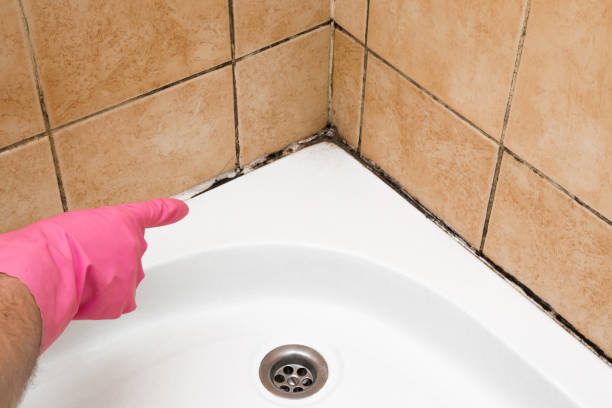 Best Mold Testing  in Biltmore Forest, NC